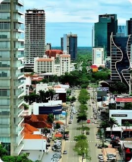 imagenes conocenos vertical (111)